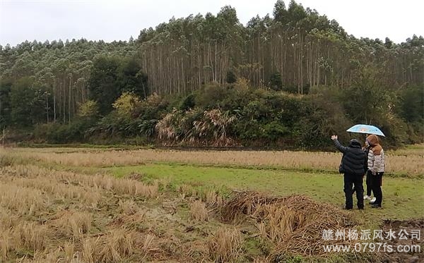 云浮市陈老师带着爱徒寻龙点穴